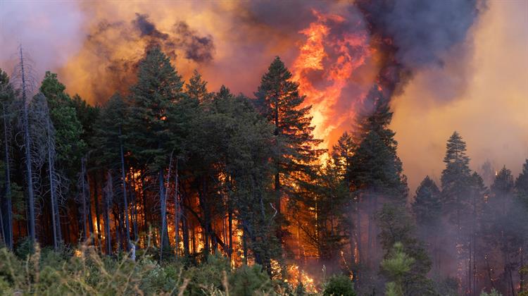 Καλιφόρνια: Μαίνεται η Καταστροφική Πυρκαγιά - Ήδη Αποτελεί Ιστορικό Φαινόμενο